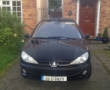 Peugeot 206 details